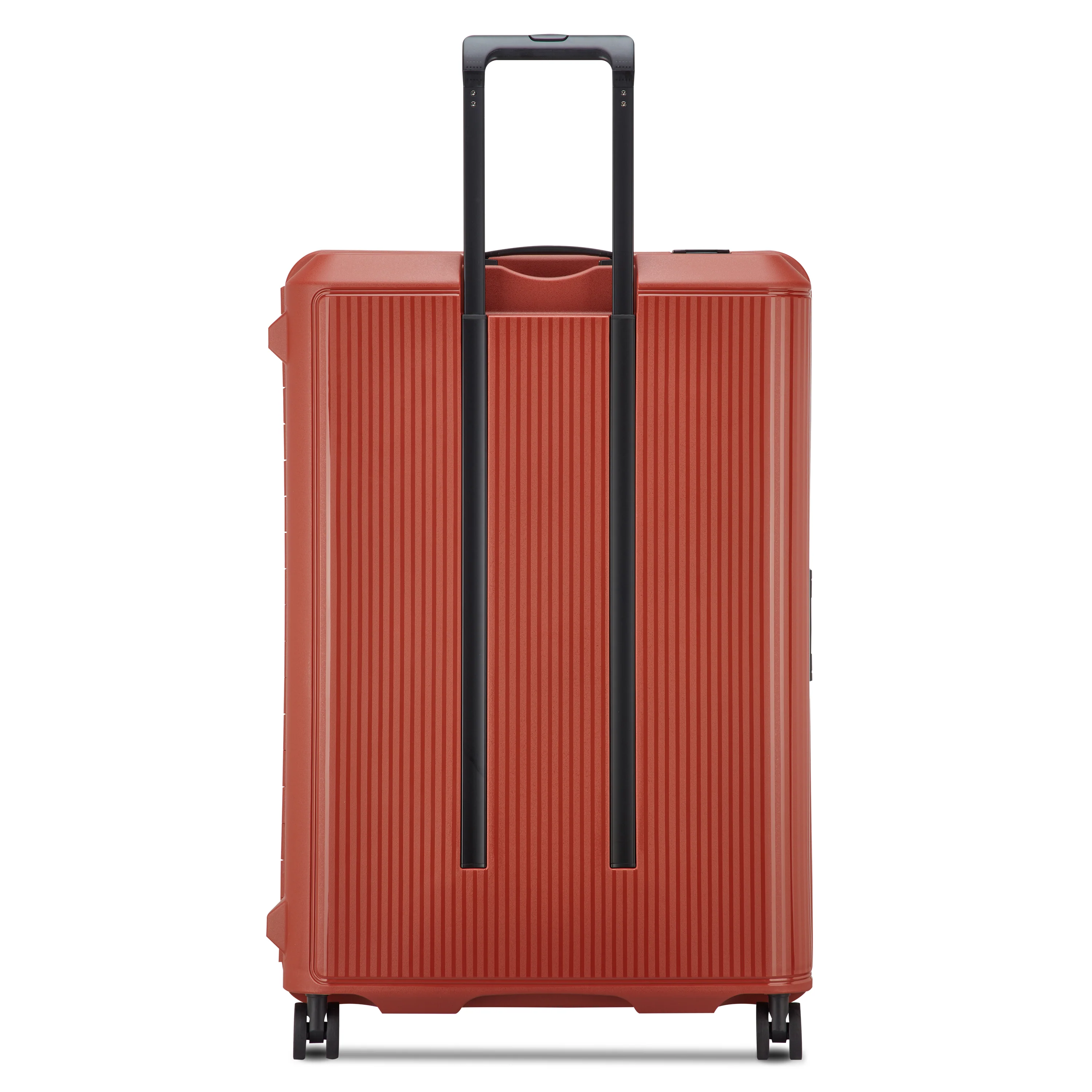 VAUBAN - L (76cm) - Image 3
