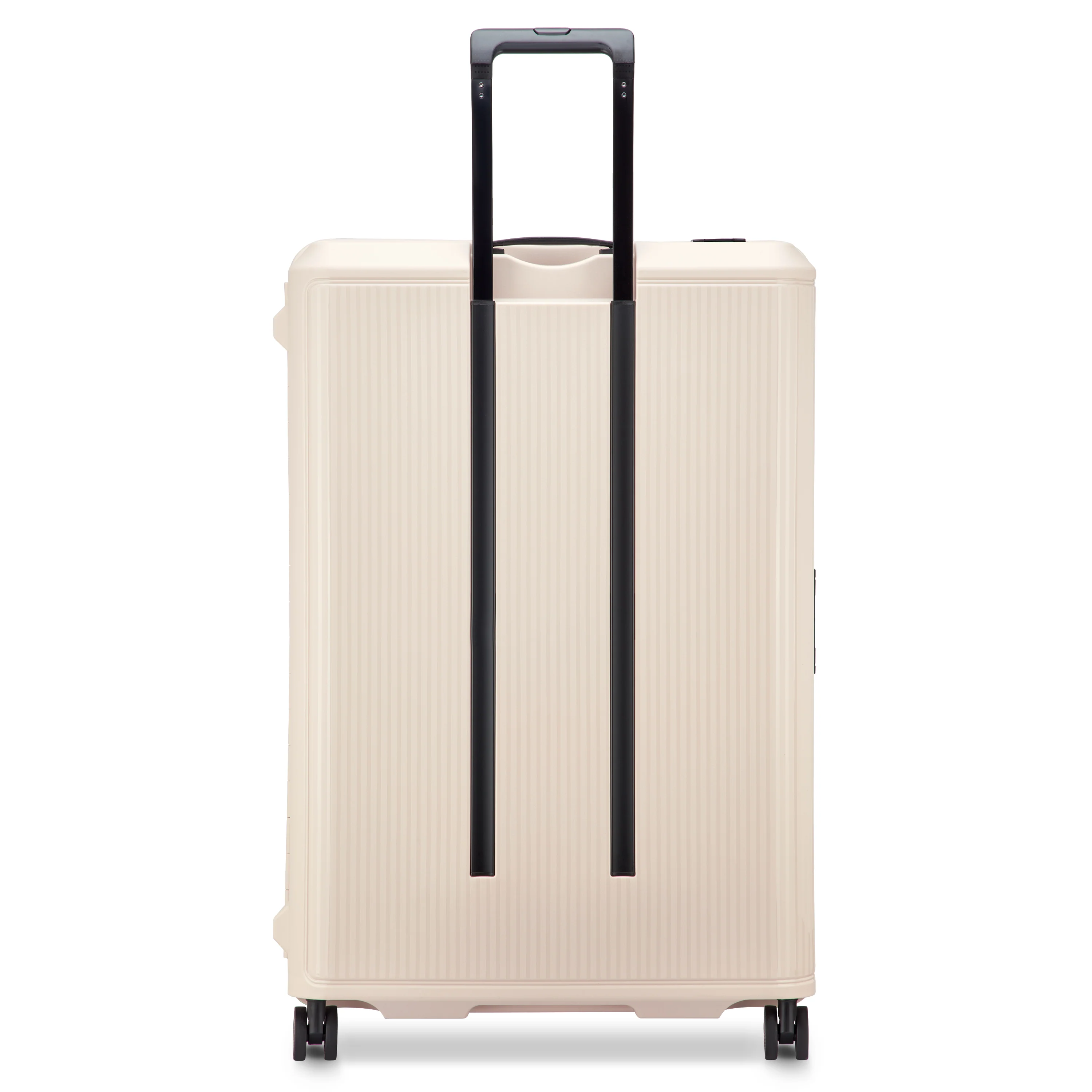 VAUBAN - XL (82cm) - Image 12